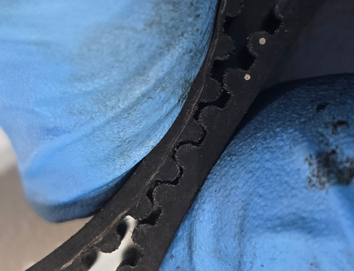 New Belt